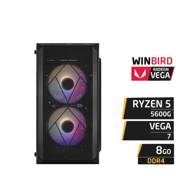 PC Gamer WINBIRD RYZEN 5 5600G 8GB RX VEGA 7 SSD 480Go